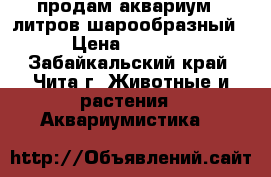 продам аквариум 12литров шарообразный › Цена ­ 1 000 - Забайкальский край, Чита г. Животные и растения » Аквариумистика   